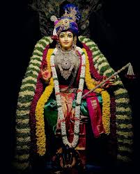 అపీతకుచాంబాస్తవః
