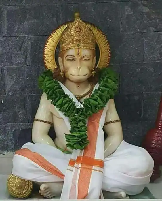 శ్రీ హనుమత్ పంచరత్నం 1 (శంకరాచార్య కృతం)